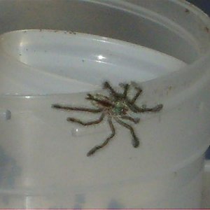 S7000203 (Medium).JPG