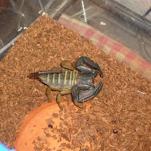 S7000118 (Medium).JPG