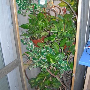 DSCN1895 (Medium).JPG