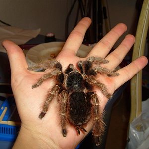 S7000223 (Medium).JPG