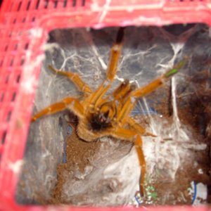 S7000222 (Medium) (2).JPG