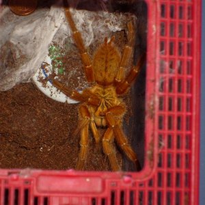 S7000224 (Medium).JPG