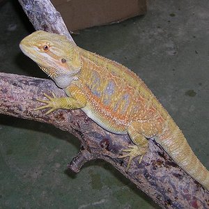 Copia de DSCN0639.JPG