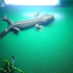 dsc05630rc0 (Medium).jpg