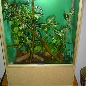 dsc05633hp6 (Medium).jpg