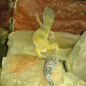 dsc00418large4sr (Medium).jpg