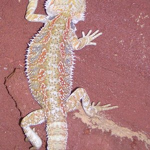 Copia de DSCN2219.JPG