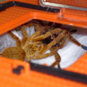 S7000286 (Medium).JPG