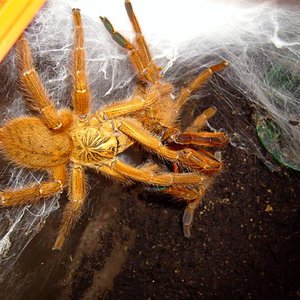 S7000293 (Medium).JPG