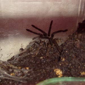 S7000252 (Large).JPG