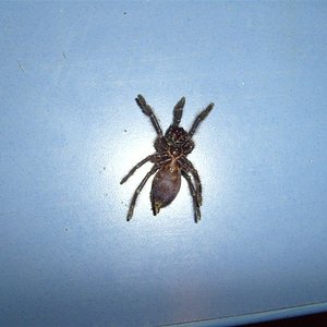 S7000254 (Large).JPG