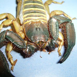 S7000240 (Large).JPG