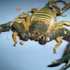 S7000245 (Large).JPG