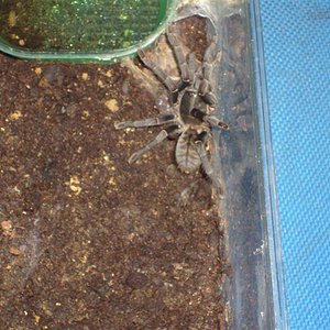 S7000209 (Medium).JPG