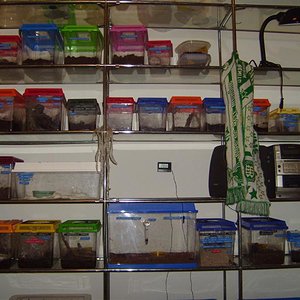 S7000294 (Medium).JPG