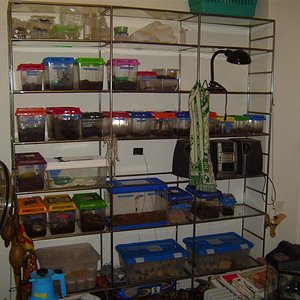 S7000295 (Medium).JPG