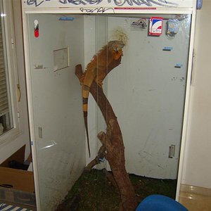 S7000296 (Medium).JPG