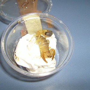 S7000317 (Large).JPG