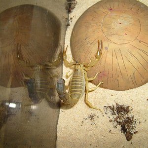 S7000326 (Large).JPG