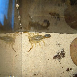 S7000324 (Large).JPG