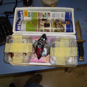 S7000342 (Medium).JPG