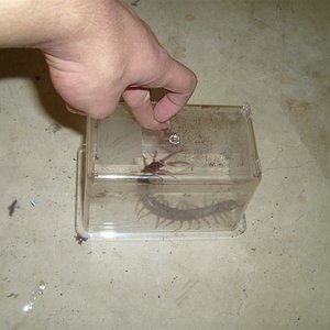 S7000345 (Medium).JPG