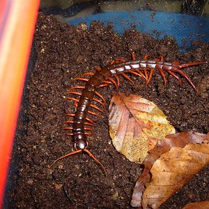 S7000349 (Medium).JPG