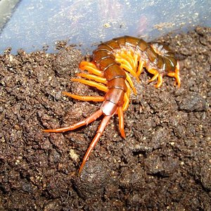 S7000369 (Small).JPG