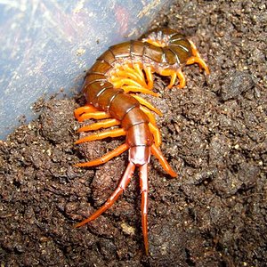 S7000370 (Small).JPG