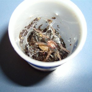 S7000378-2 (Medium).JPG