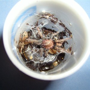 S7000375 (Medium).JPG