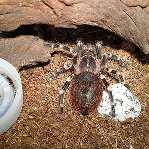 Copia de P4090075.JPG