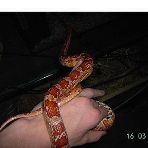 Copia de PICT2647.JPG