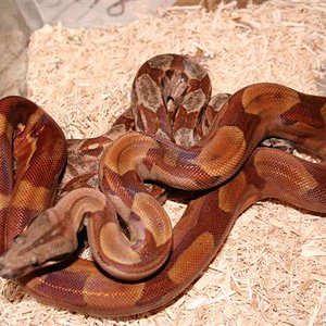 IMG_0101 (Small).JPG