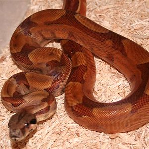 IMG_0108 (Small).JPG