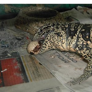 Copia de PICT3041.JPG