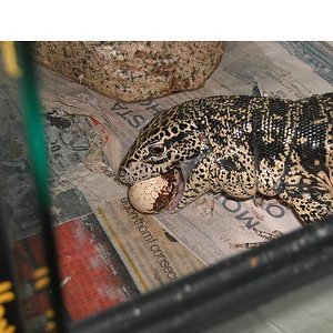 Copia de PICT3042.JPG