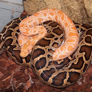 Copia de Copia de HPIM0353.JPG