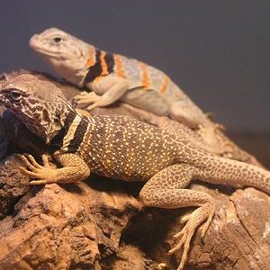 Resized_molins 009.jpg