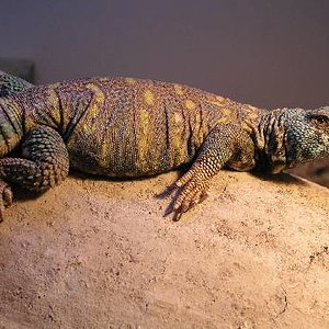 Resized_molins 010.jpg