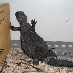 Resized_molins 011.jpg