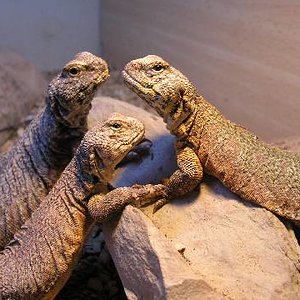 Resized_molins 013.jpg