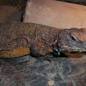 Resized_molins 014.jpg