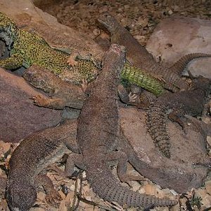 Resized_molins 016.jpg