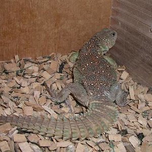 Resized_molins 020.jpg