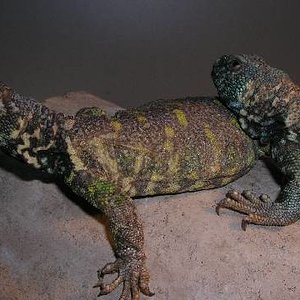 Resized_molins 026.jpg