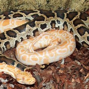 Copia de Copia de HPIM0361.JPG