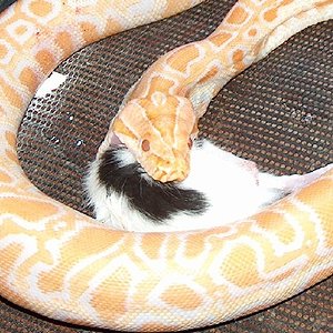 Copia de HPIM0374.JPG