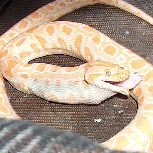 Copia de HPIM0380.JPG