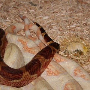 IMG_0115 (Small).JPG